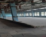 . Фото 3