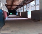 . Фото 4
