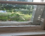 купити будинок в Смілі. Фото 17