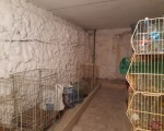 купити будинок в Смілі. Фото 18