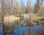 Продаж будинку с.В.Яблунівка. Фото 12