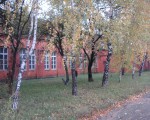 комерційна в Смілі. Фото 2