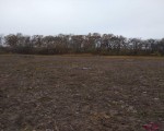 купити землю  в  Смілі. Фото 4